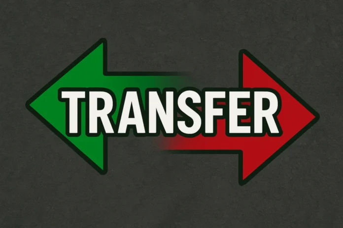 Transfery ogólny obrazek 7