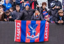 Crystal Palace – Newcastle United skrót z meczu, podsumowanie i statystyki (25.10.2026) Crystal Palace - kibice 1